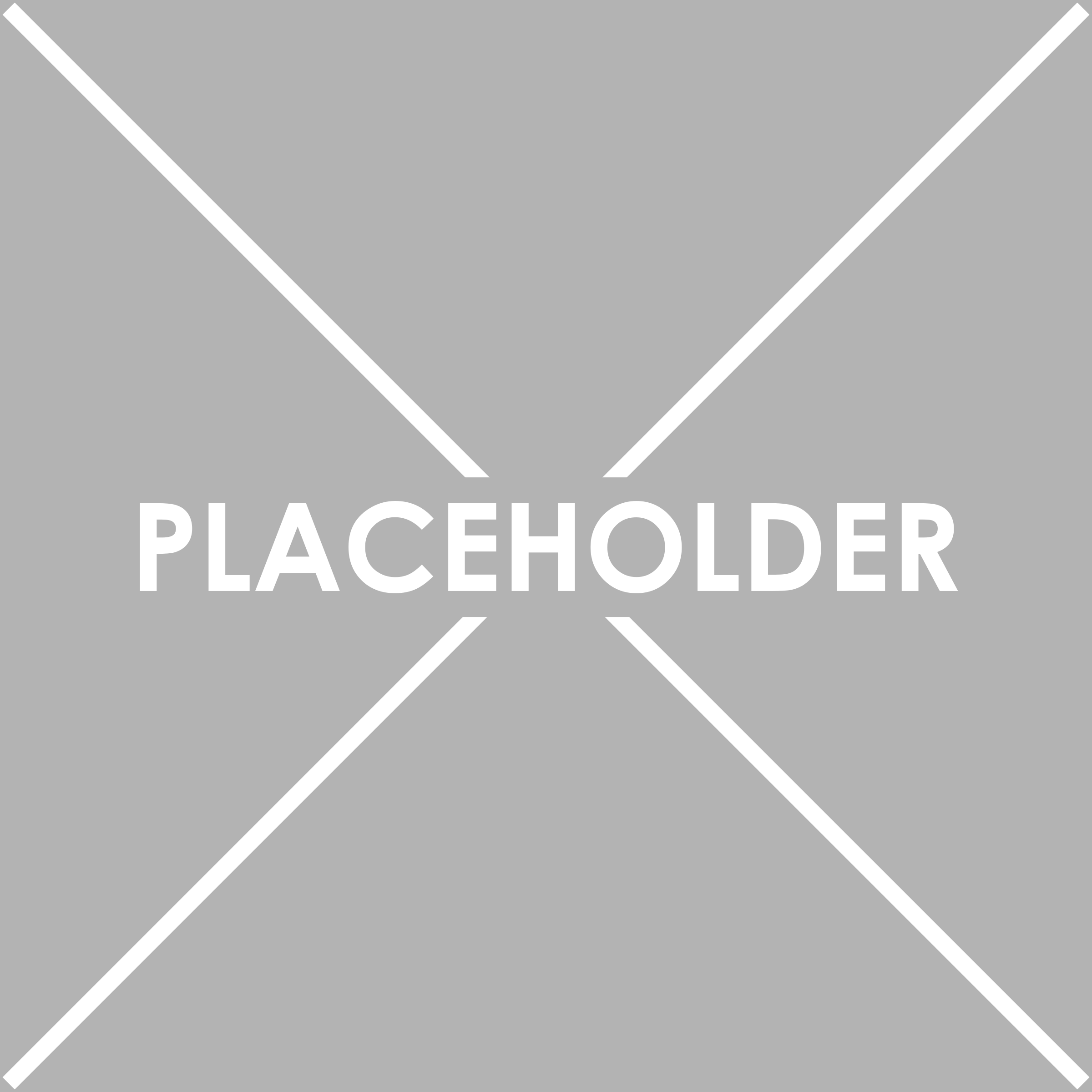 Placeholder product image